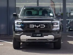 BYD 
